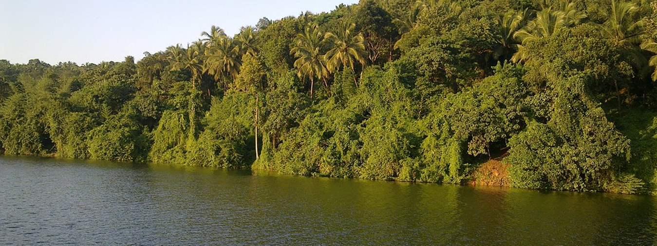 mulangunnathukavu