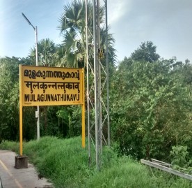 mulangunnathukavu